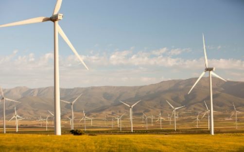 wind farm
