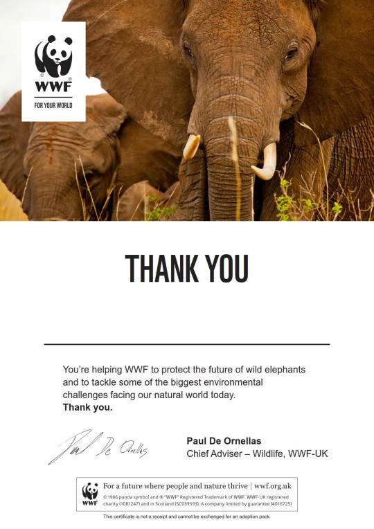 Letter thanking supporter for adopting an elephant with WWF