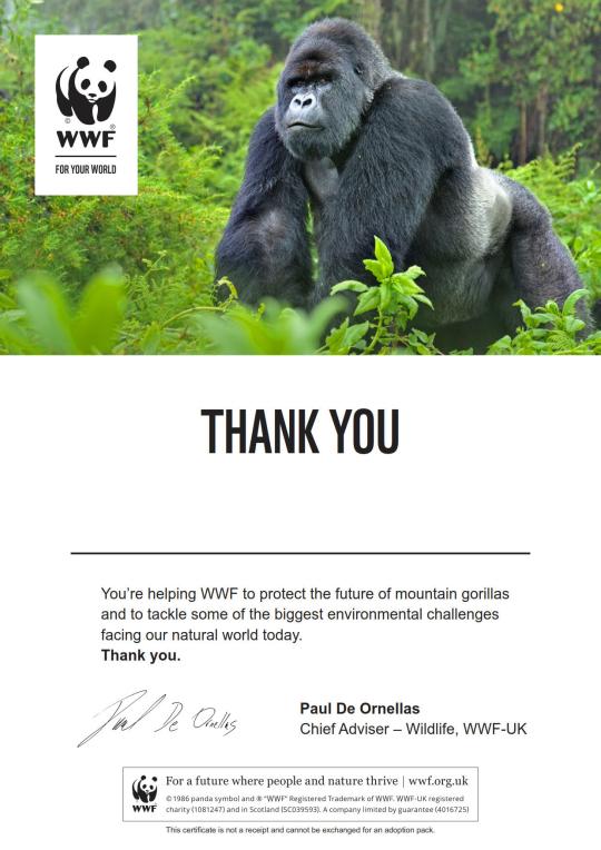 Gorilla Certificate