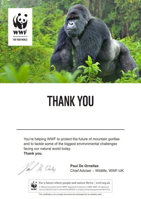 Letter thanking supporter for adopting a gorilla with WWF