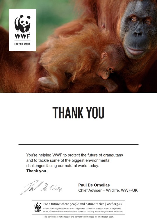 Letter thanking supporter for adopting an orangutan with WWF