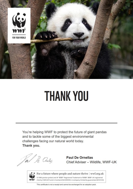 Letter thanking supporter for adopting a panda with WWF