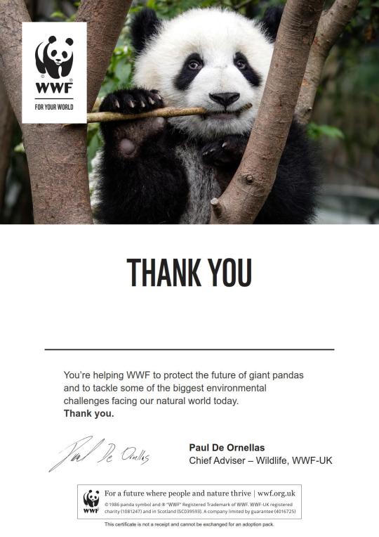 Adopt A Panda Wwf