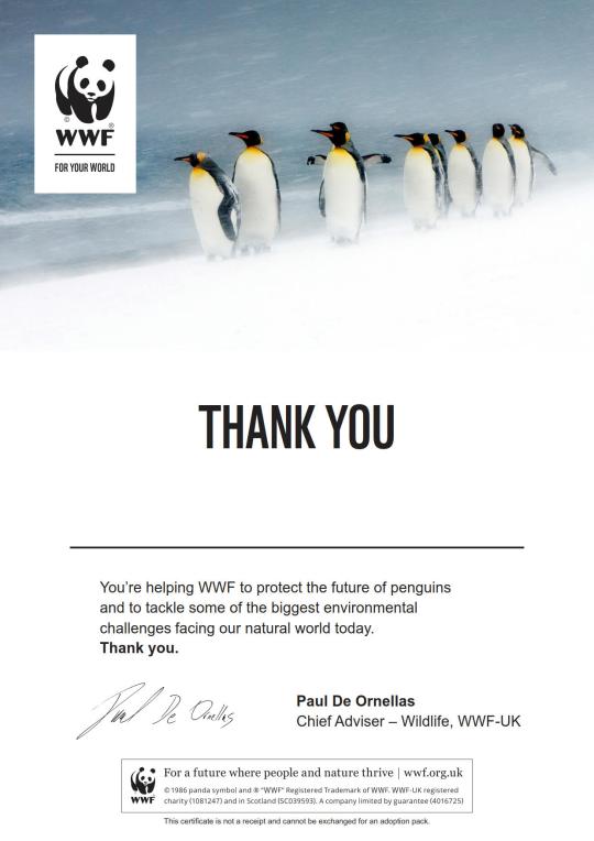 Penguin Certificate
