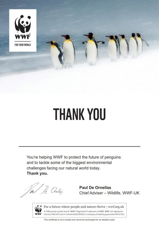 Letter thanking supporter for adopting a penguin with WWF