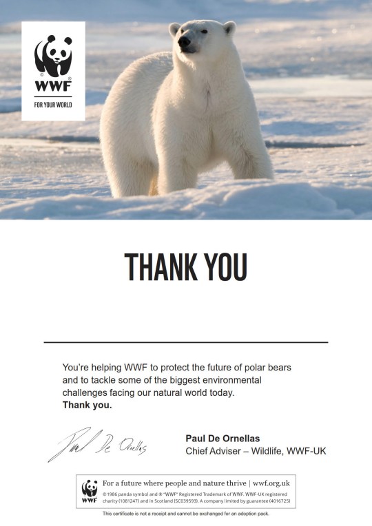 Letter thanking supporter for adopting a polar bear with WWF