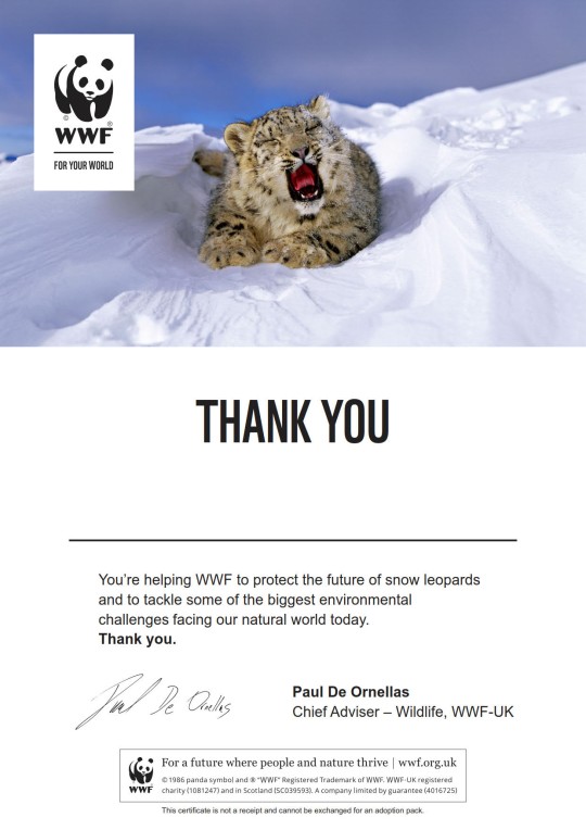 A WWF 'thank you for adopting' certificate with a picture of a snow leopard lying down