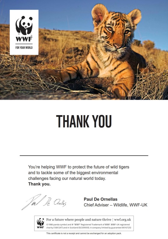 Letter thanking supporter for adopting a tiger with WWF