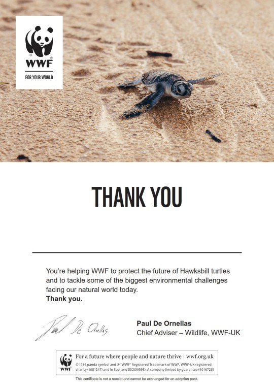 Turtle adoption certificate