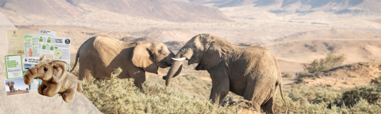 a younger elephant plays with an older elephant against a mountainous backdrop