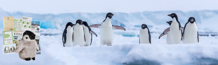 Group of Adélie penguins stood together near the edge of an iceberg, with a small graphic overlay of a WWF adoption packshot in the corner.