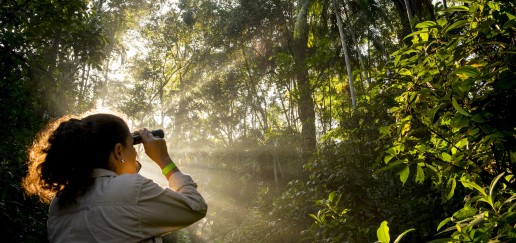 Patricia Leon surveying rainforest