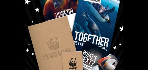 WWF membership pack contents