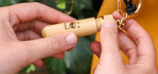 Bee revival kit on a keyring