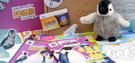 the contents of a penguin adoption welcome pack, including cuddly toy