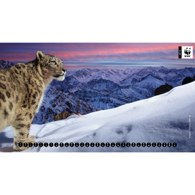 A WWF themed digital calendar, the background of which is a picture of a snow leopard high up in the mountains