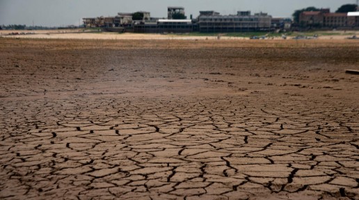 close up of dry riverbed of Lake Tefé as a result of severe drought in the region