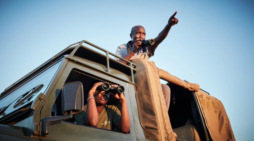 A man sat in the driver's seat of a car with a pair of binoculars, searches for lions in the direction pointed out by his colleague, atop the car