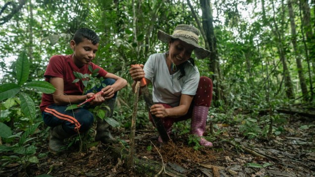 Two environmental promoters planting trees