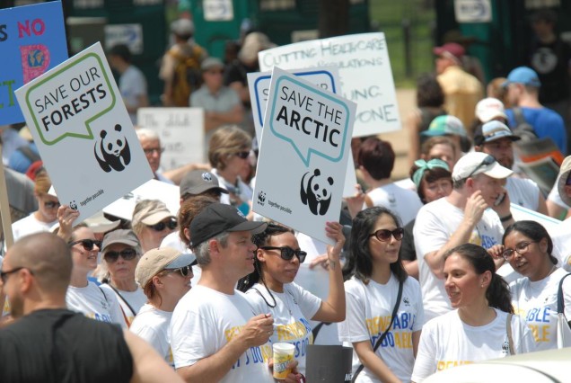 WWF supporters at the Peoples Climate March holding signs reading save the arctic and save the forests