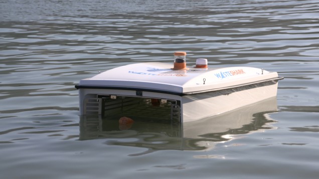 Waste Shark underneath a boat