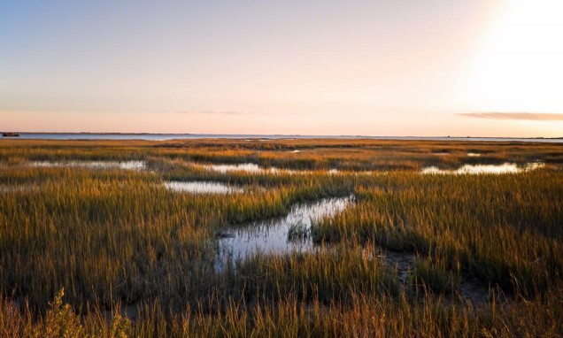 Saltmarsh landscape with the sun setting