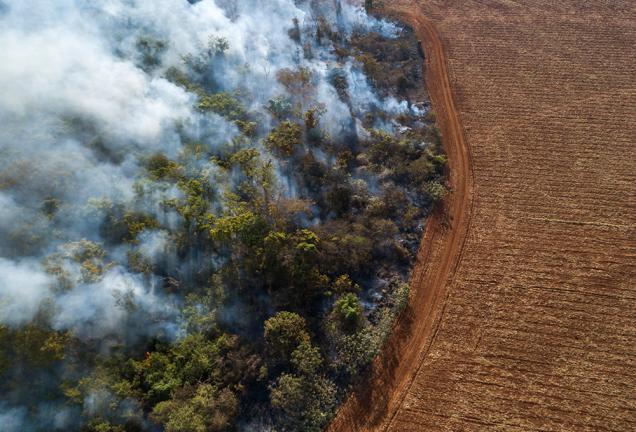 Aerial view of Amazon rainforest fire and deforestation
