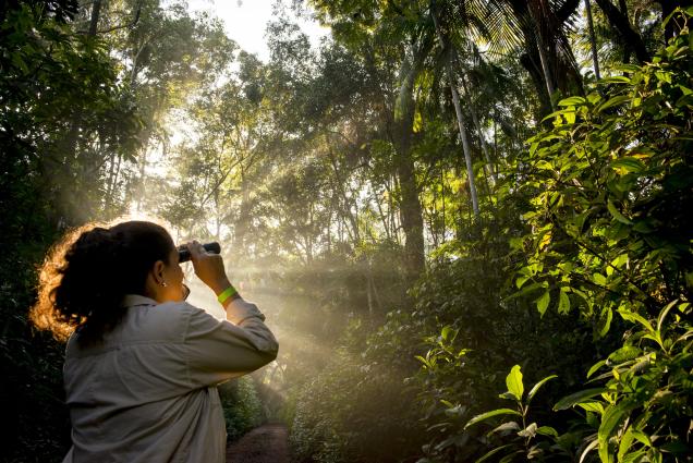 Patricia Leon surveying forest