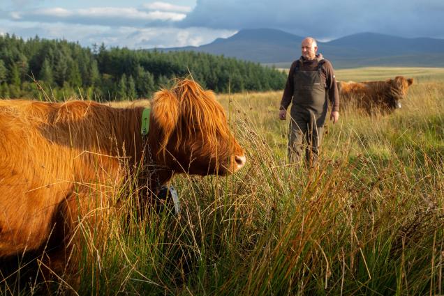 Regenerative farmer Hywel Morgan with his highland cattle