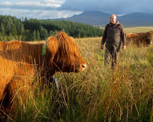 Regenerative farmer Hywel Morgan with his highland cattle