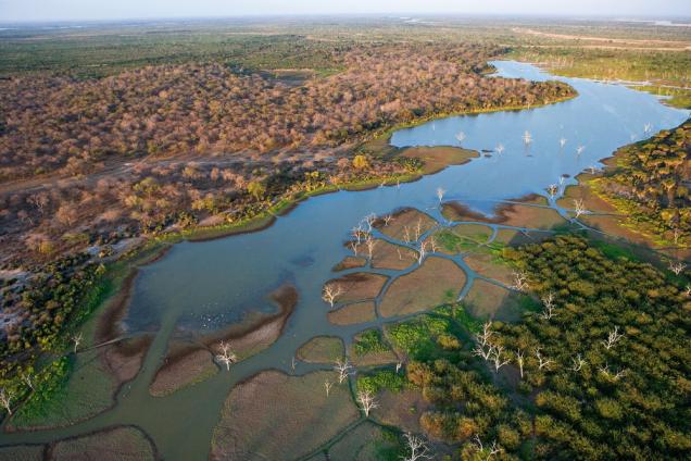 aerial view of the selous game reserve