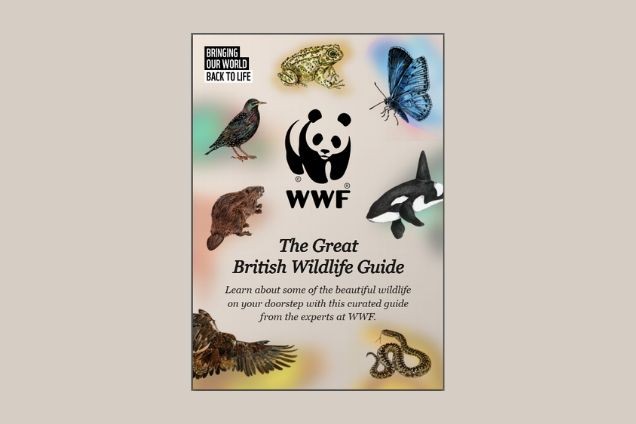 Cover of the WWF Great British Wildlife Guide with WWF logo and illustrations of a beaver butterfly and other wildlife