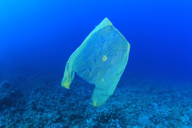 Plastic rubbish bag pollutes a coral reef in the ocean.