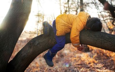 Young boy hugs tree