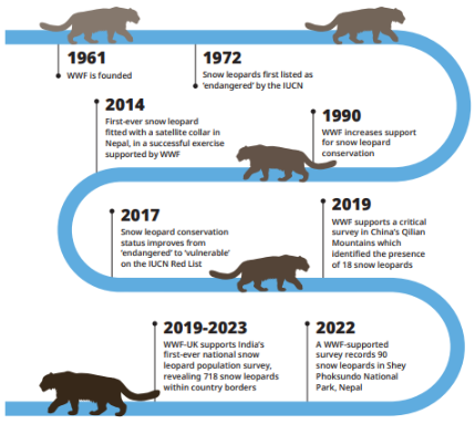 a timeline graphic detailing the history of WWF's snow leopard conservation efforts