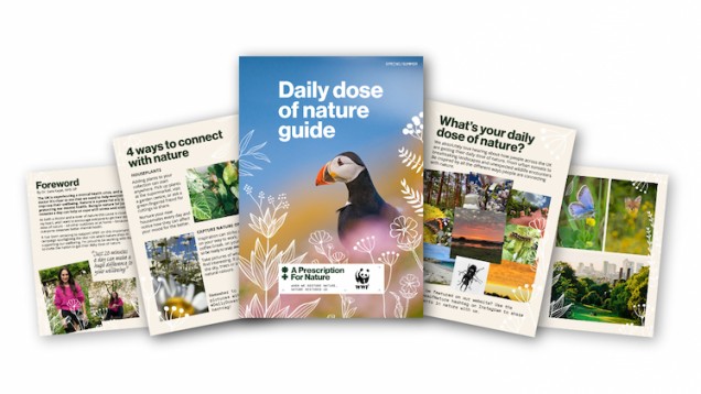Spread of pages displaying content within the Daily Dose of Nature guide
