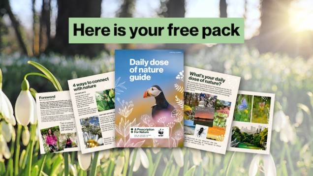 Spread of pages displaying variety of content from the Daily Dose of Nature pack