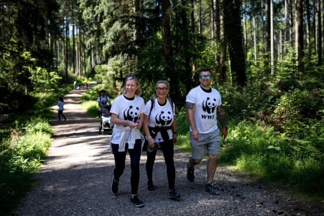 3 people walking happy at Alice Holt Forest England