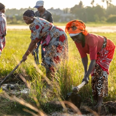 Community members participate in tree planting exercises in Tanzania