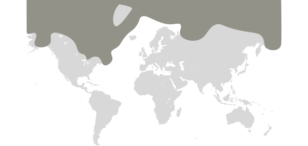 Map graphic detailing polar bear habitat range 