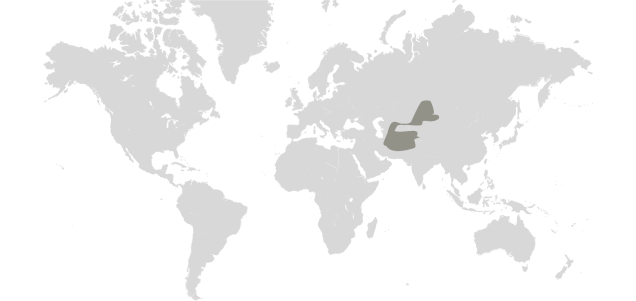 Map graphic detailing tiger habitat range 